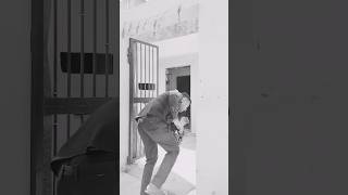 Tango Memes Tango Tango Funny Clips