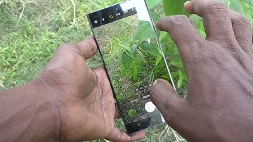 How to turn OFF timers for taking photos in Samsung Galaxy S24 Ultra 5G