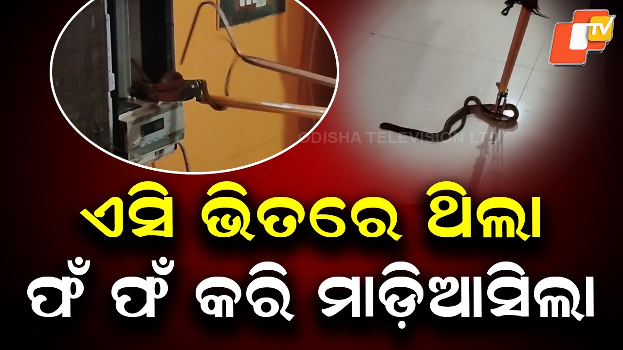 Snake Found Inside AC in Boudh House, Rescued After 2-Hour Operation