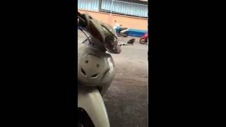 Download Sửa Xe Chí Hùng Video MP3 Sửa Xe Chí Hùng