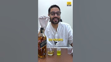 How long does alcohol stay in your body? #ytshorts