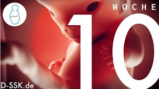 Was passiert im 10 Monat der Schwangerschaft?