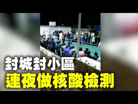 辽宁营口市鲅鱼圈区爆疫情,市民半夜排队做核酸检测,封城封小区。