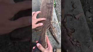 Making A Fish Trap From A Piece Of Board shorts