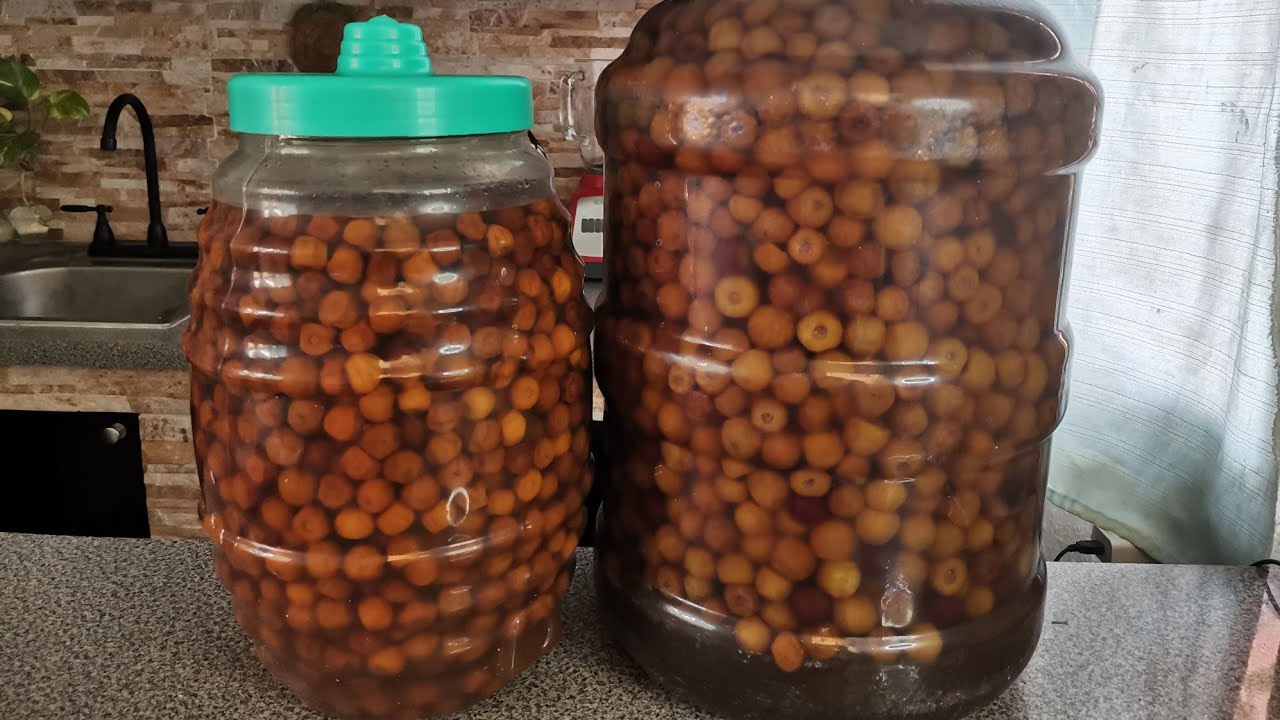 Como curtir Nache o Nance paso a paso Nanchecurtido YouTube