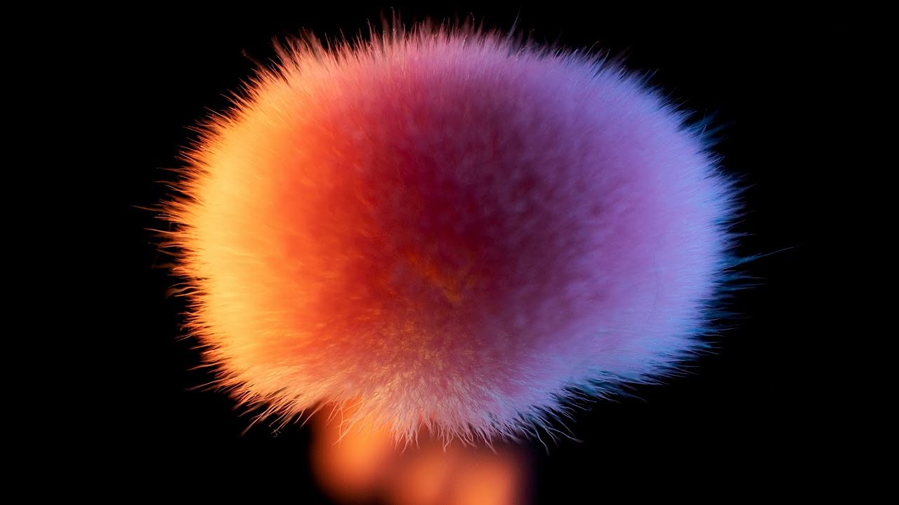 ASMR - Camera Brushing For Relaxation & Sleep - First Person (No ...