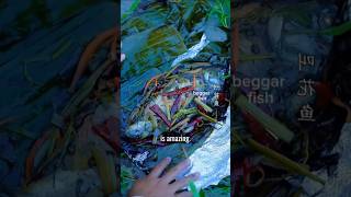 You Won't Believe This Fish Cooking Method! 😱🔥