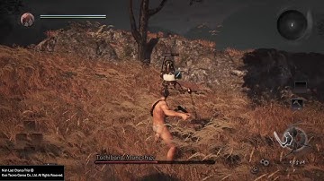Nioh - Tachibana Muneshige at Level 1 No Rolling or Blocking