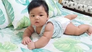 My Cute Little Tyruz