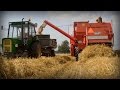 Żniwa 2015 | Massey Ferguson 307/255 | Ursus | Zetor | AGROFarm TV