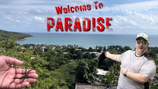 FOOD, Family & Fun! Guavate - Puerto Rico Adventures PR