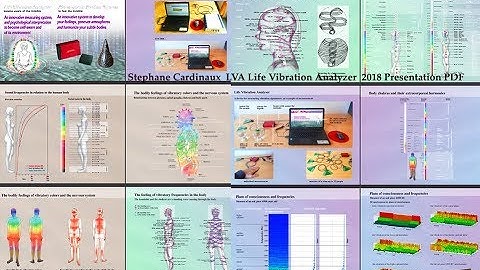 Stephane Cardinaux  new LVA Life Vibration Analysis- geniedulieu.ch, goldenmean.info/geobiology