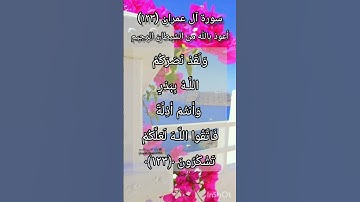 سورة آل عمران الآية ١٢٣
