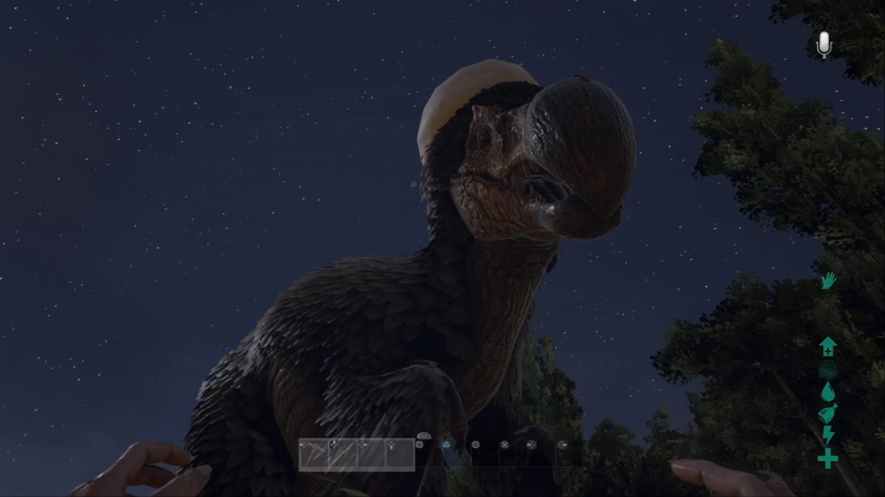 Como Domesticar Un Dodo En Ark