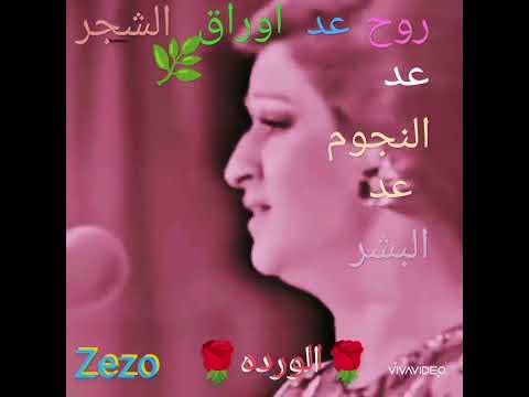 ورد عد النجوم عد البشر جزء 3