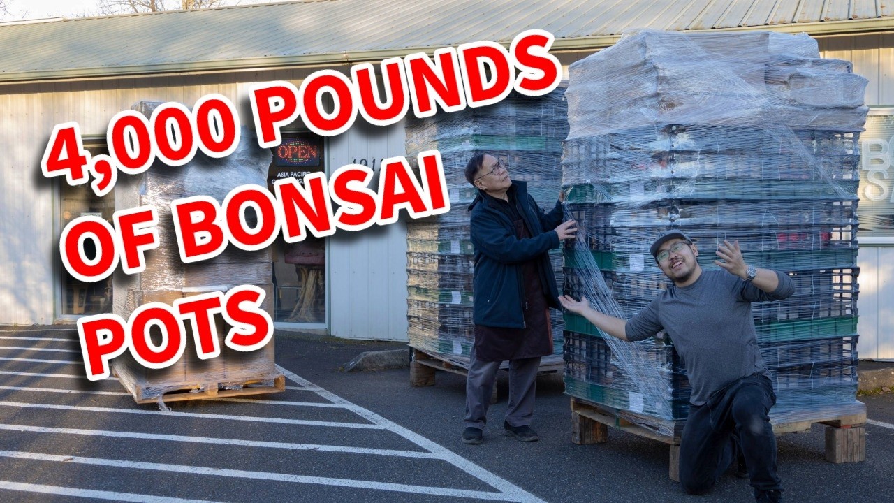 Мы получили партию НОВЫХ горшков для бонсай весом 4000 фунтов. Давайте распакуем эти поддоны!