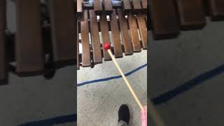 Seven Nation Army (Wooden Xylophone)