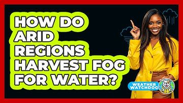 How Do Arid Regions Harvest Fog For Water? - Weather Watchdog