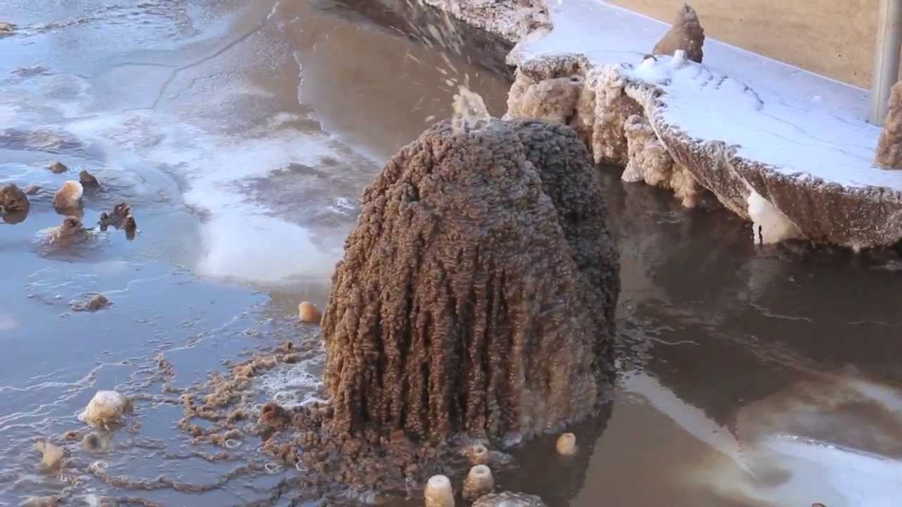 What's brewing at Ripon's wastewater treatment plant?