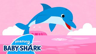 Click Click Dolphin | Sea Animals Song | Baby Shark and Sea Animals | Baby Shark Official