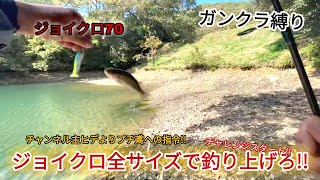 【バス釣り】ジョイクロ全サイズで釣り上げろ!ミッション始動‼ ガンクラフト縛り ジョインテッドクロー70 SARUさんガンクラフトさんリスペクト企画♪ 広島県 溜池 野池