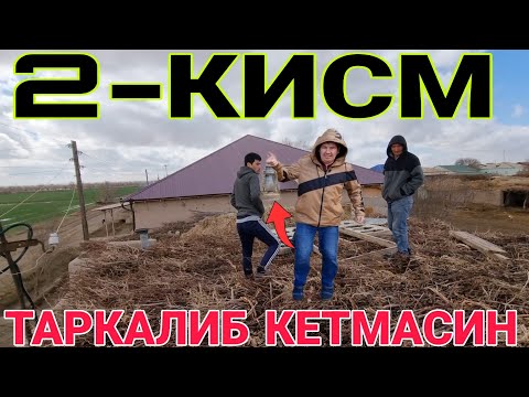 АЛОВИДДИНИГ СЕХИРЛИ ЧИРОКИНИ ТОПДИК ЭНДИ ХАММА НАРСА БИР ЗУМДА МУХОЁ