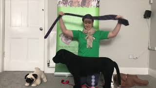 Making an emergency muzzle - first aid for dogs
