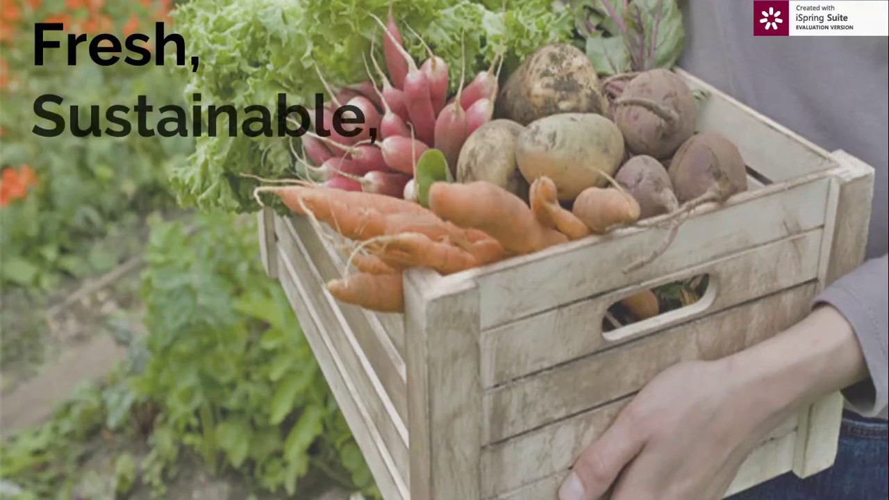 Высокий урожай. Продукты с огорода. Овощи и фрукты с огорода. Свекла. Урожай овощей.