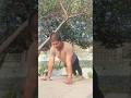 #DAY_1_morning workout in park