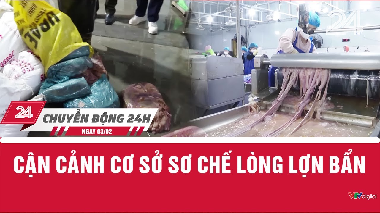 Chuyển động 24h ngày 03/02: Cận cảnh cơ sở sơ chế lòng lợn bẩn | VTV24