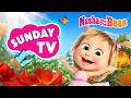 Masha And The Bear 2026 Sunday TV Best Episodes Cartoon Collection