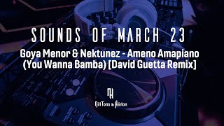 Goya Menor & Nektunez - Ameno Amapiano (You Wanna Bamba) [David Guetta Remix] - { Legendado }