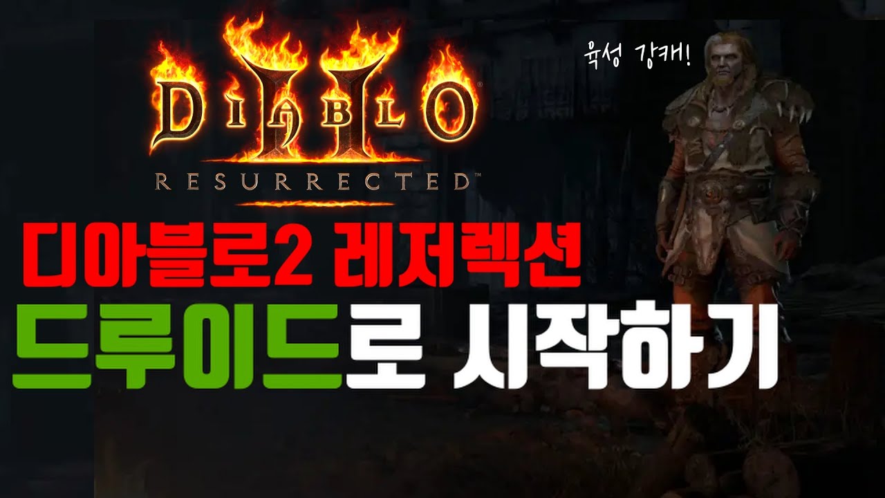 [레저렉션 시작하기] Diablo2 : Resurrected 드루이드로 시작하기 (처음시작하시는분, 졸업까지, 맨땅, 무자본, 노거래)