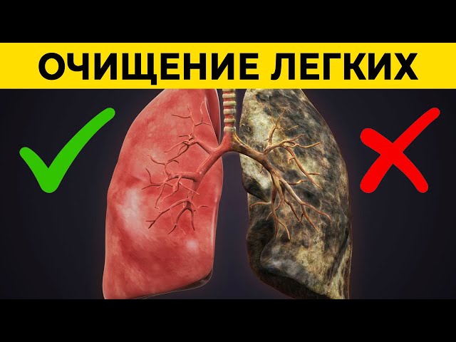 КУРИШЬ? Этот напиток выгонит все смолы из лёгких | Как очистить легкие  после курения? - YouTube