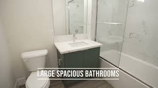 1037 Dewey Floor Plan Type A3 Unit 614 Video