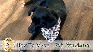 How to Make a Pet Bandana | a Shabby Fabrics Sewing Tutorial