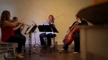 Vivace Live at Excelsior