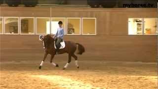 Dressage Exercise - Changes In Pace