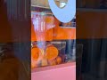 Yummy fresh orange juice | Jeya Kulit