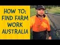 How to find Farm Work in Australia (that pays well and counts for 2nd year visa)