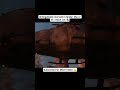 Spider-Man meets Black Cat 😺 #spiderman2 #shorts #gaming #marvel #shortvideo #spiderman #games #ps5