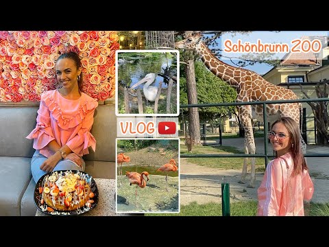 Video: Što Vidjeti U Beču