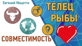 видео Брак телец и рыба