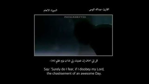 قرآن كريم بصوت القارئ: عبدالله الموسى || أجمل حالات واتس اب دينيه || تلاوة خاشعة HD🍀🍃