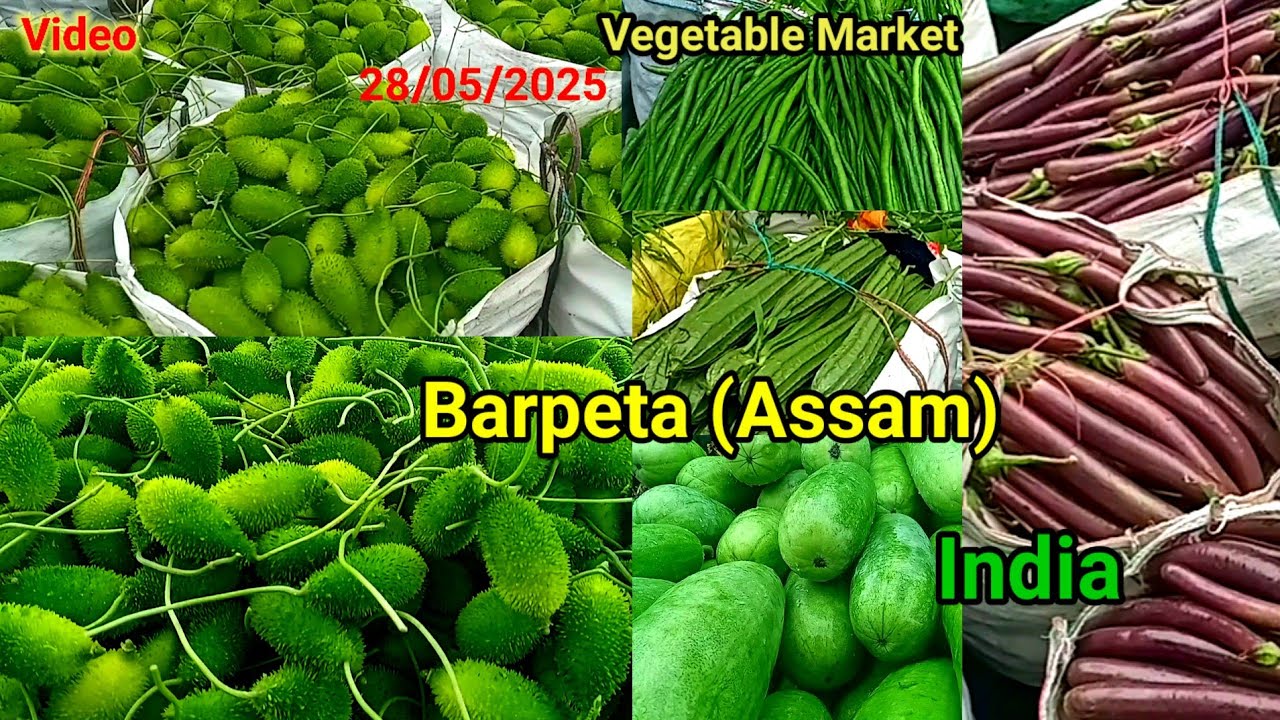 Vegetable Market/ rain session Vegetables/ cheapest price @globalvideos8725