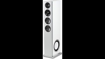 Definitive Technology D15 Demand Series Speaker Review - Pros & Cons - Definitive Technology D15