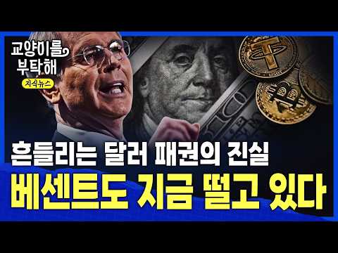 [지식뉴스] “이건 신호예요“ 베센트는 지금 떨고 있다! 흔들리는 달러 패권의 진실 / 교양이를 부탁해