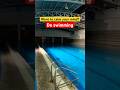 Want to calm your mind ? Do swimming and thank me later