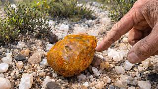 You’ve Been Walking Past These Gems Your Whole Life (USA Hidden Treasure)