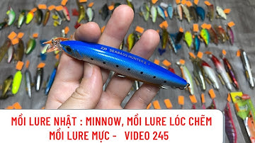 Mồi Câu Nhật :   Cá Giả Câu Lure, Minnow Lure Chẽm , Lure  Lóc,  Tôm Lure Mực - video 850
